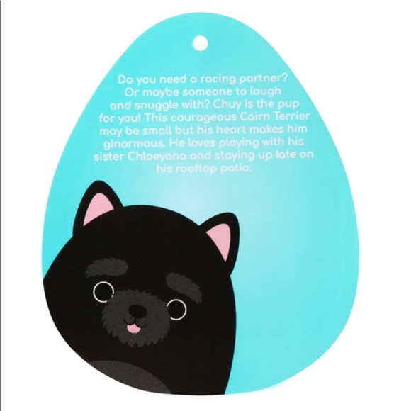 NWT 7.5” Chuy the Cairn Terrier Squishmallow - Picture 2 of 2